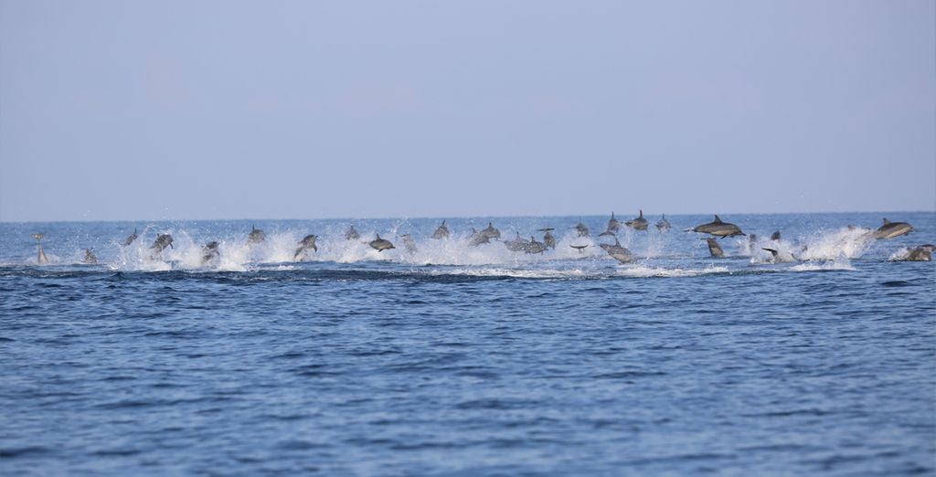 Tour privato delle Filippine con estensione mare a Bohol