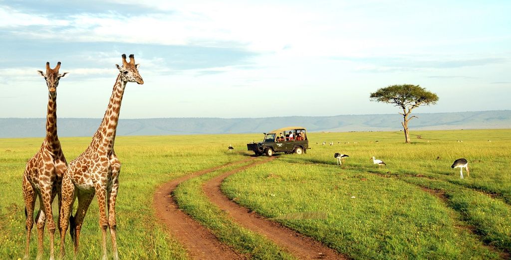 Safari in Kenya - pacchetti vacanze