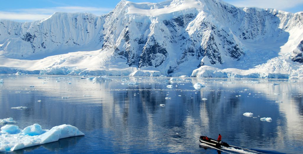 Polar Wildlife Encounter