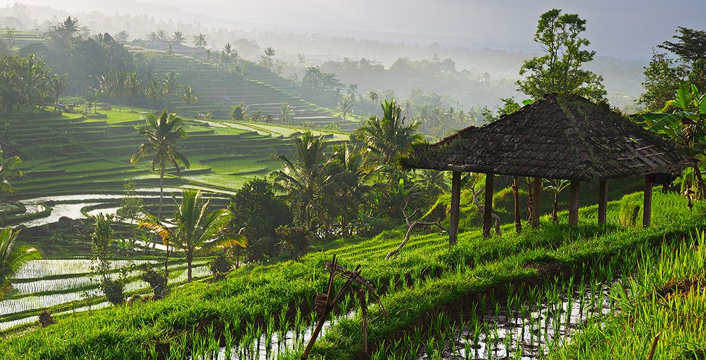 Honeymoon Bali