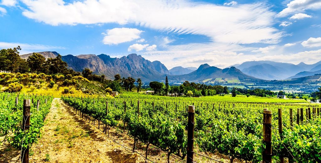 Discover Cape Town with The Onyx and Excursions 4*