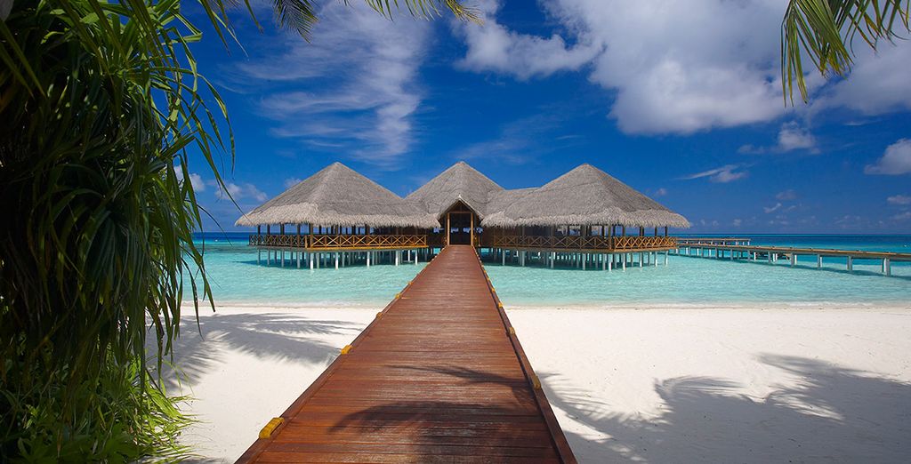 Medhufushi island. Медхуфуши Исланд Резорт Мальдивы. Medhufushi Island Resort 5 Мальдивы Мальдивы. Отель Medhufushi Island Resort 4 Мальдивы. Остров Тооду на Мальдивах.