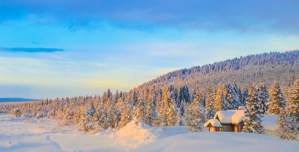 Ice Adventure in Sweden for holidays