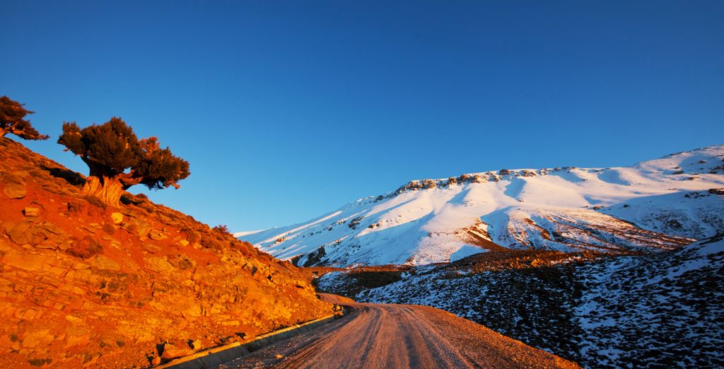 Happy Valleys, La Roseraie & the Land of the Berber Amazighes