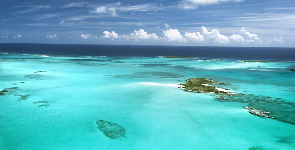 Enjoy a relaxing Bahamas cruise