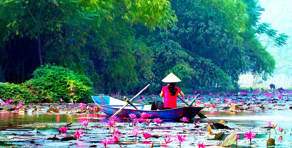 Essence of Vietnam