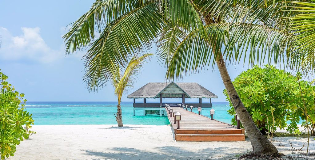 Palm Beach Island Resort & Spa 4* - Lhaviyani Atoll - Up to -70% ...