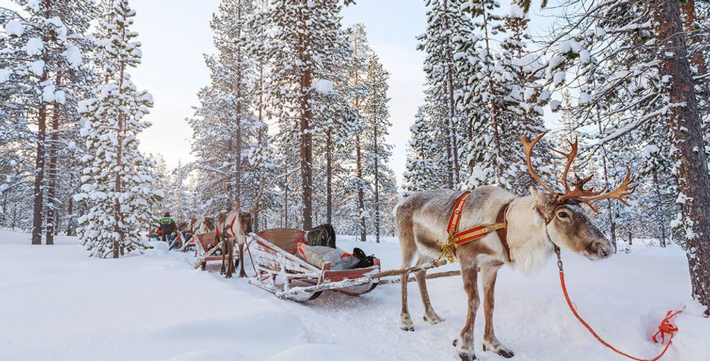 Discover the Wonders of Finland