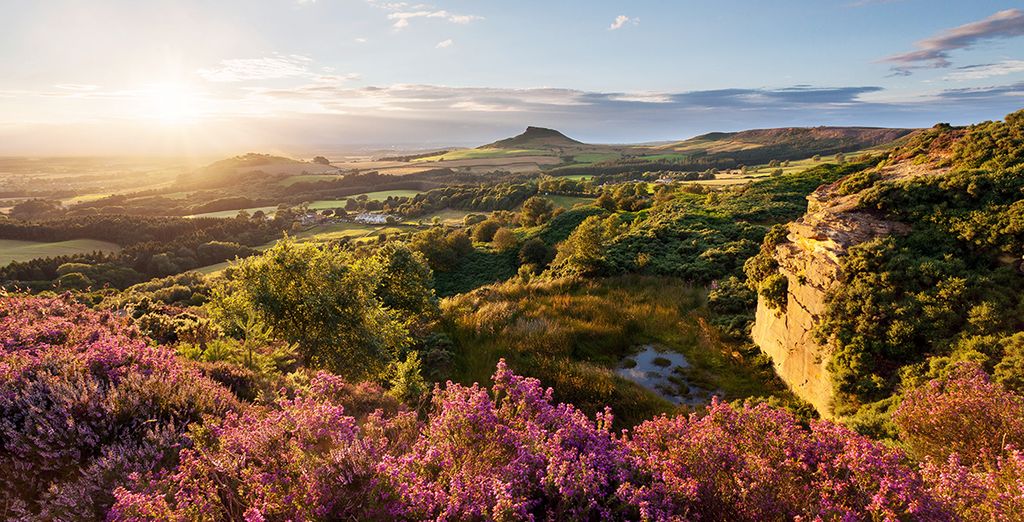 The Black Swan Hotel 4*