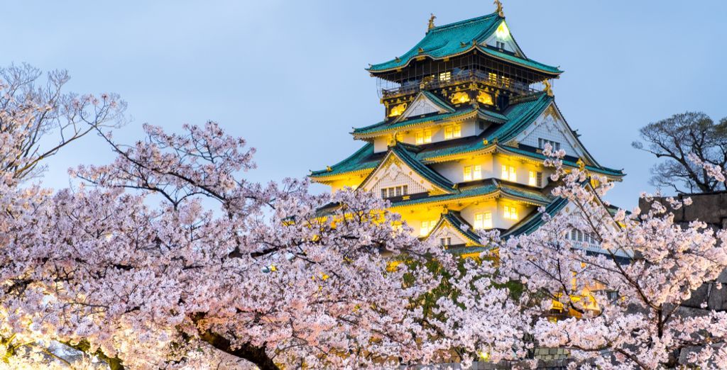 Through the Ages of Japan Tour 3*/4*