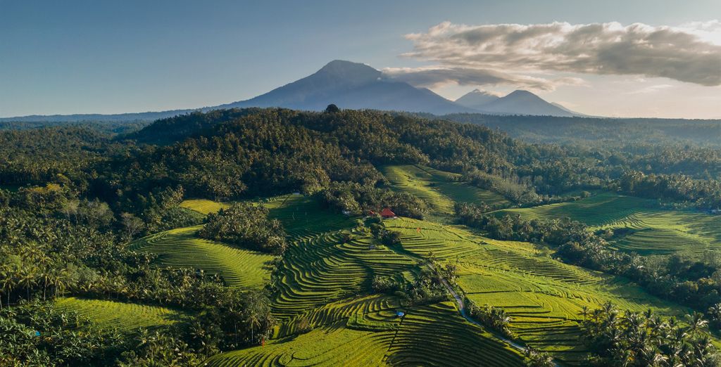 Asvara Luxury Resort & Spa Ubud 5*, Royal Avila Boutique Resort 5* e The Leaf Jimbaran 5*