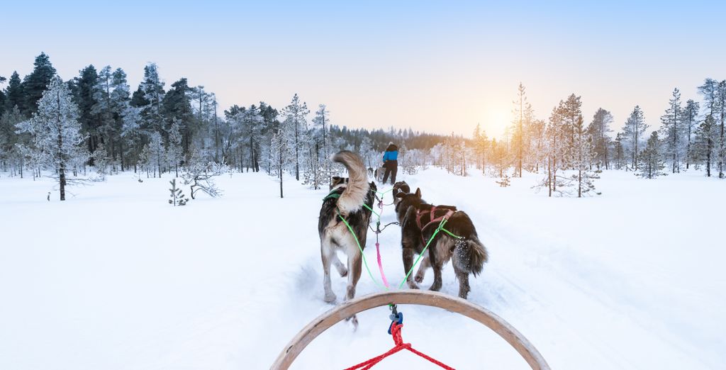 Soggiorno in libertà: Nel Nord con fuga in Icehotel 