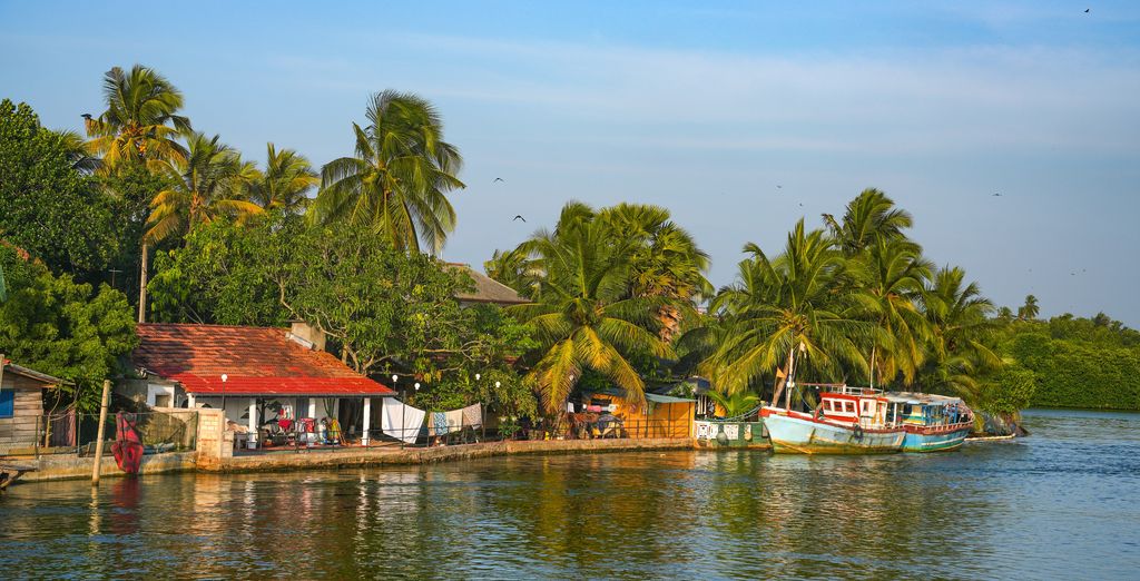 Tour privato: Tra le bellezze dell'antica Ceylon