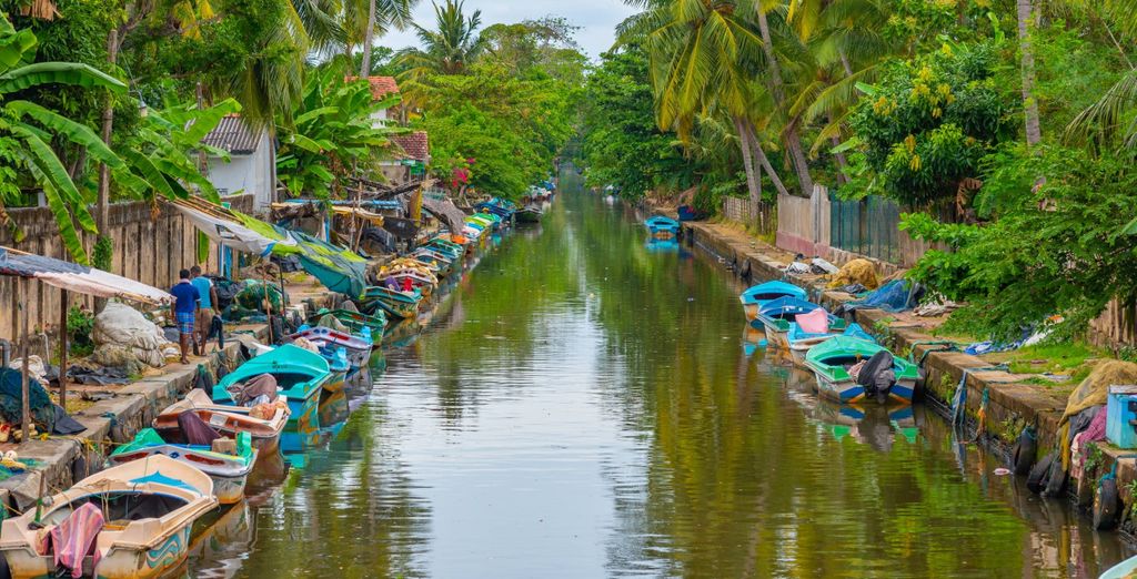Tour privato: Tra le bellezze dell'antica Ceylon