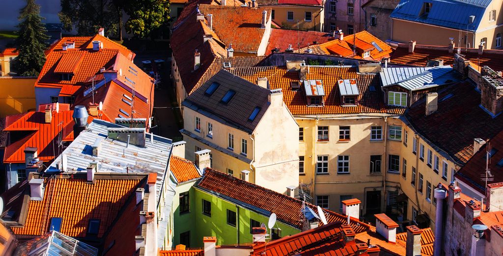 Tour privato "Capitali dei Paesi Baltici"