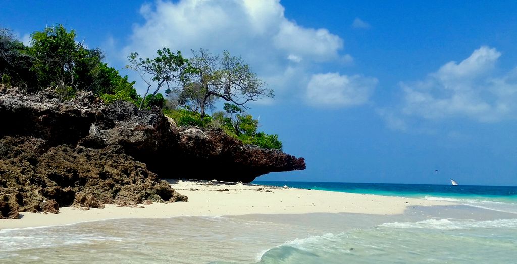 Toa Hotel & Spa 5* con safari nella Riserva di Selous