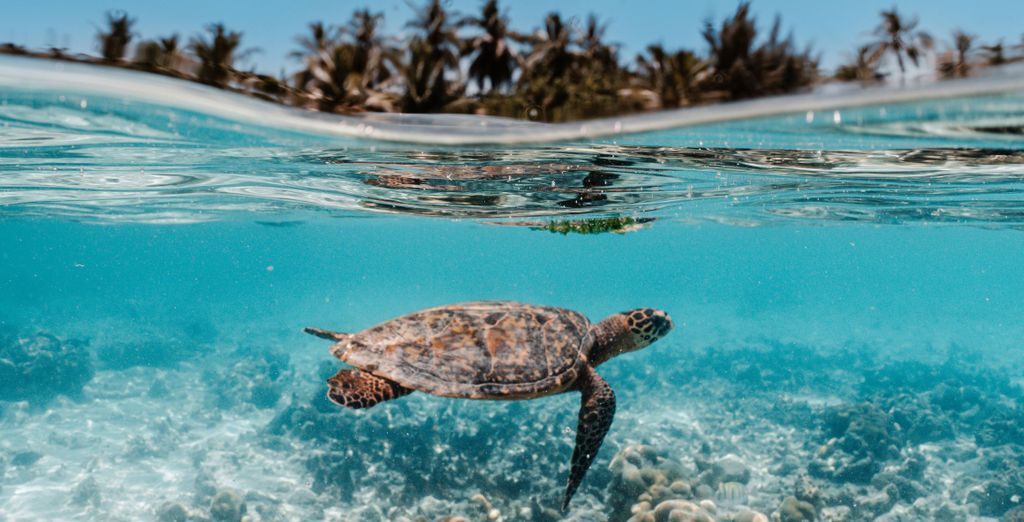 Luxuriöse Überwasserbungalows in einem Maledivenresort