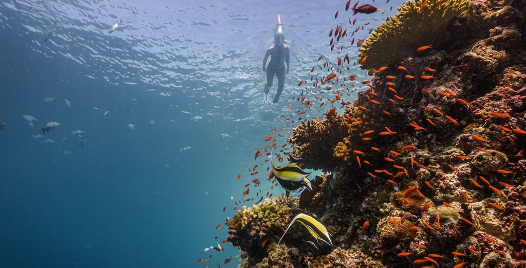 Sun Siyam Vilu Reef 5*