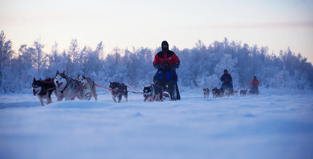 Pausa di inverno a Rovaniemi
