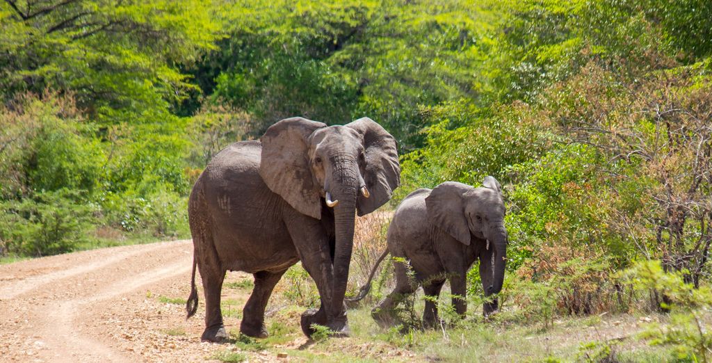 Toa Hotel & Spa 5* con safari nella Riserva di Selous