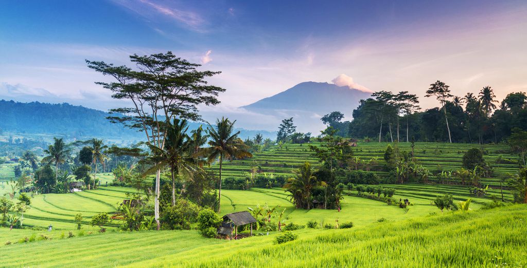 Asvara Villa Ubud by Ini Vie Hospitality 5*, Anema Resort Gili Lombok 5*, Renaissance Bali Uluwatu Resort & Spa 5*