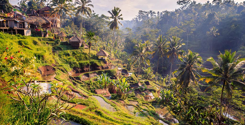 Tour per esplorare Bali di 9 notti con estensione a Nusa Dua