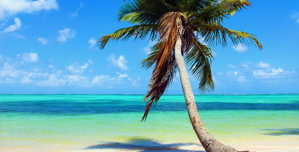 voco Times Square South New York, an IHG Hotel 4* e possibile estensione al Bakour Punta Cana Suites 5*