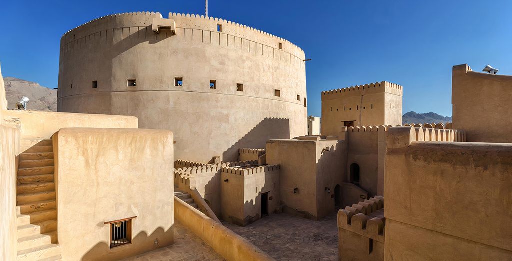 Tour di gruppo: Avventura tra deserto e spiagge del Paese