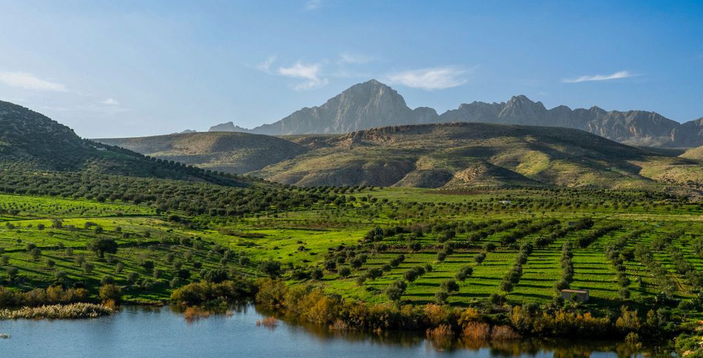Circuit en groupe : Tunisie authentique avec séjour possible à Hammamet