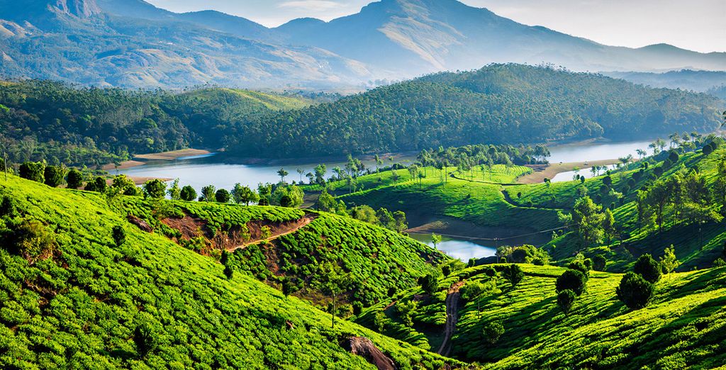 Tour tra i sapori dell'India del Nord