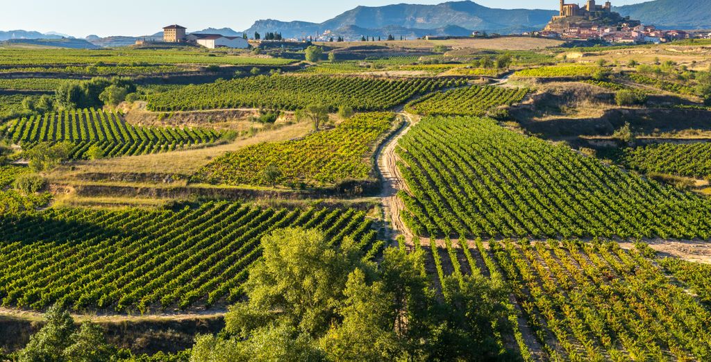 Autotour : Le Nord de l'Espagne et ses vignobles