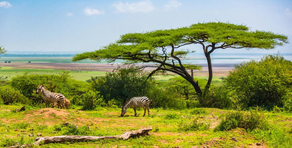 Combinato Safari e Sea Cliff Resort & Spa 5*