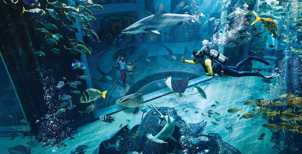 Atlantis The Palm 5*