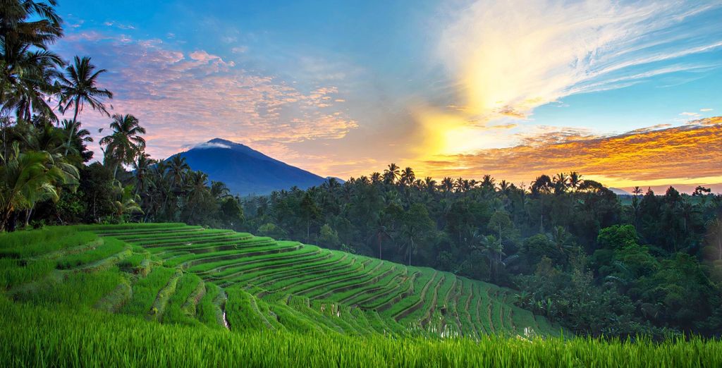 Keliki Luxury Lodge 5*, Royal Avila Boutique Resort Lombok 5* & The Seminyak Suites Private Villas 4*