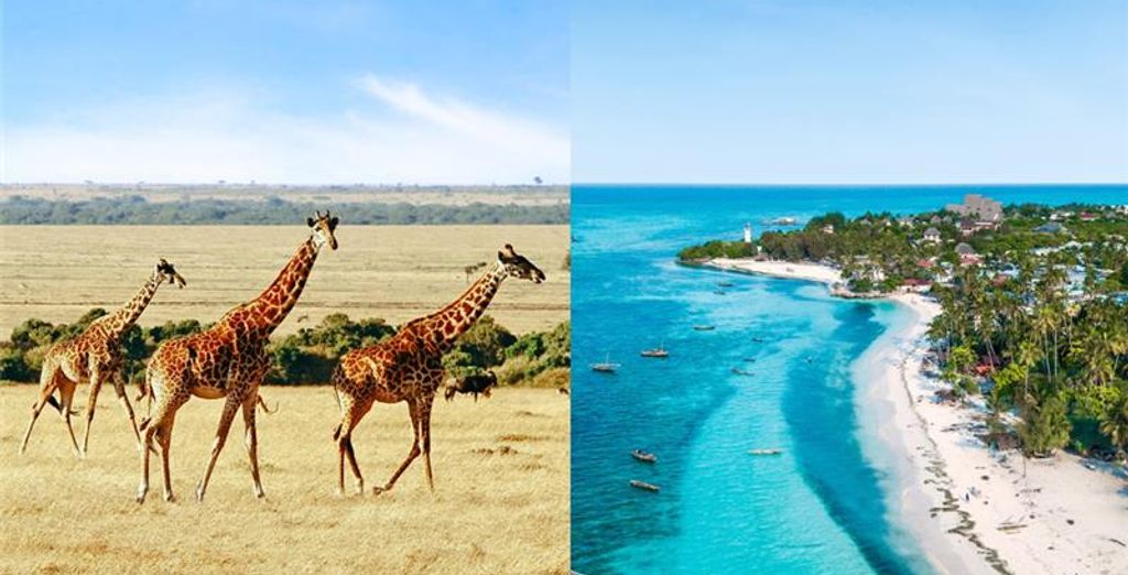 Karafuu Beach Resort & Spa 5* con safari al Parco Nazionale di Saadani