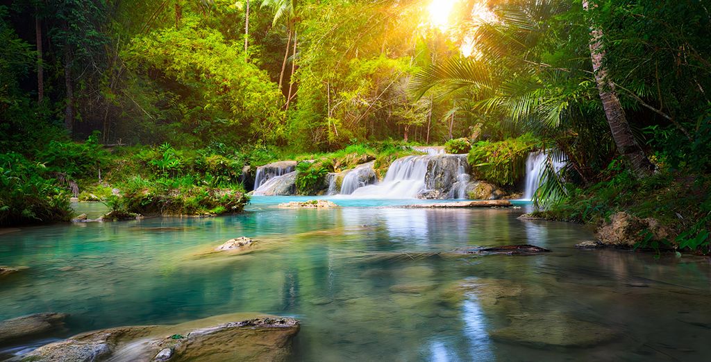 Tour alla scoperta delle Visayas