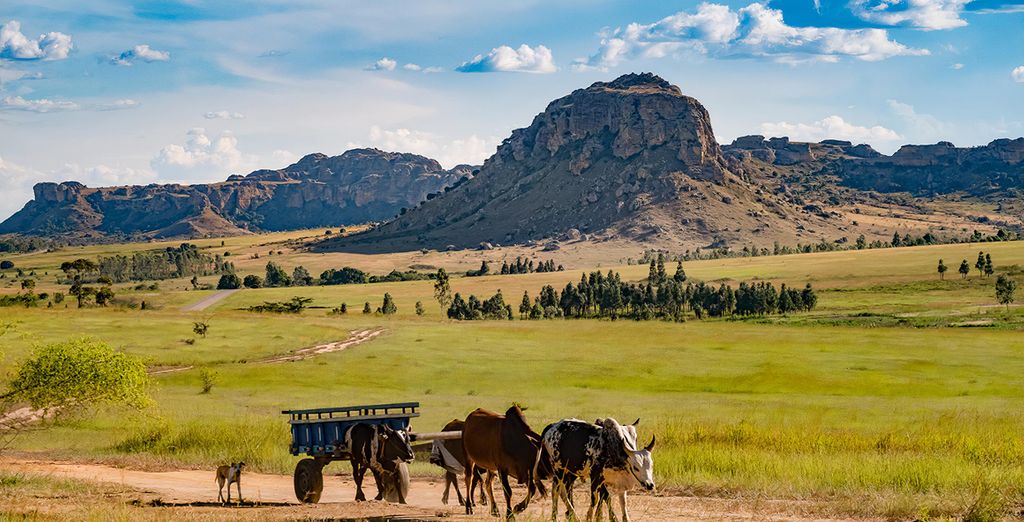 Tour di 9 o 11 notti dal Sud dell'Antananarivo ad Ifafy