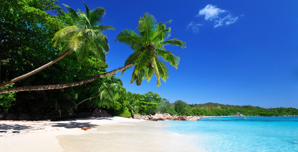 Bliss Praslin 4*  con possibile pre-estensione a Dubai