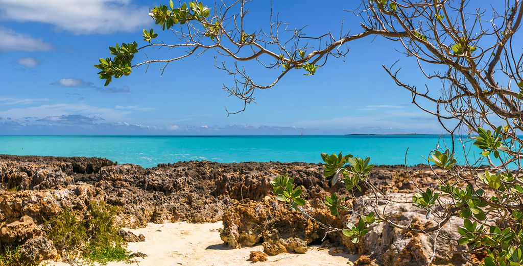 Tour alla scoperta dell'Havana e delle spiagge di Jibacoa di 7, 10, 12 o 14 notti