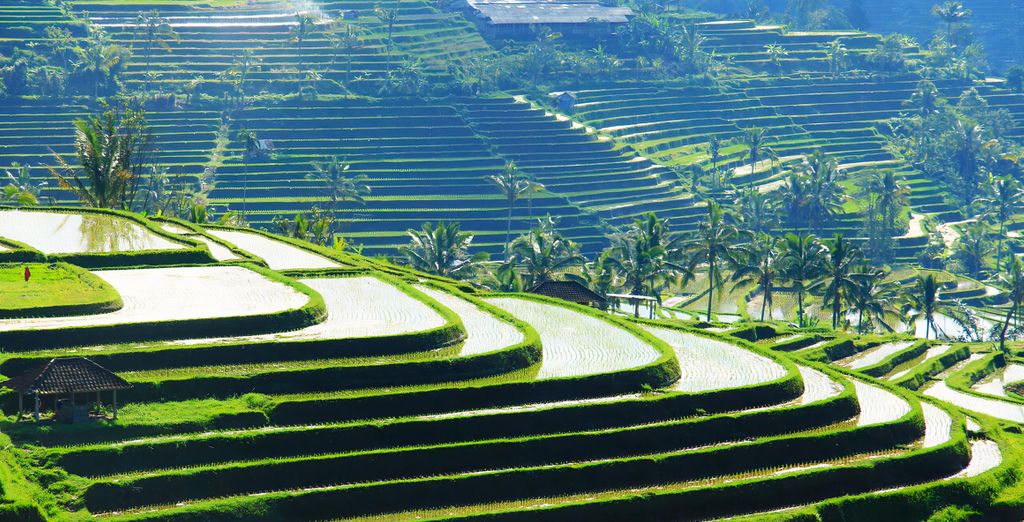 Trio The Wakanda Resort Ubud 4*, Pramana Natura Nusa Penida 5* e Renaissance Bali Nusa Dua Resort 5*