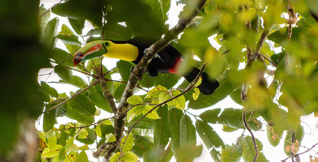 Autotour di 9, 11 o 13 notti tra natura e relax 