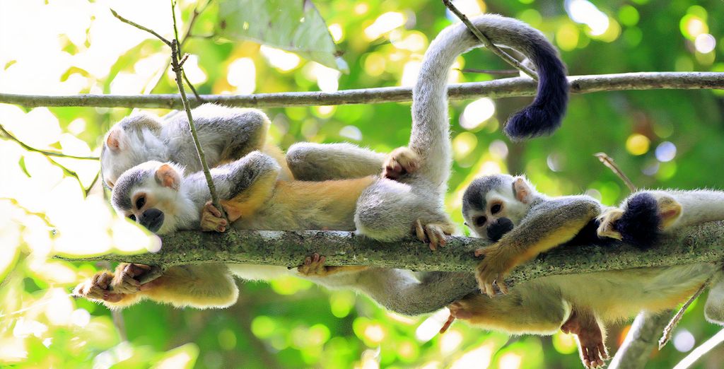 Autotour di 9, 11 o 13 notti tra natura e relax 