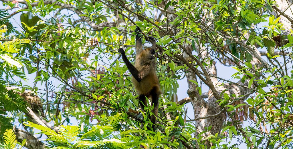 Autotour di 9, 11 o 13 notti tra natura e relax 