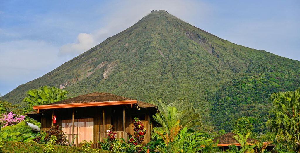 Autotour di 7, 9 o 11 notti nella meravigliosa giungla costaricana