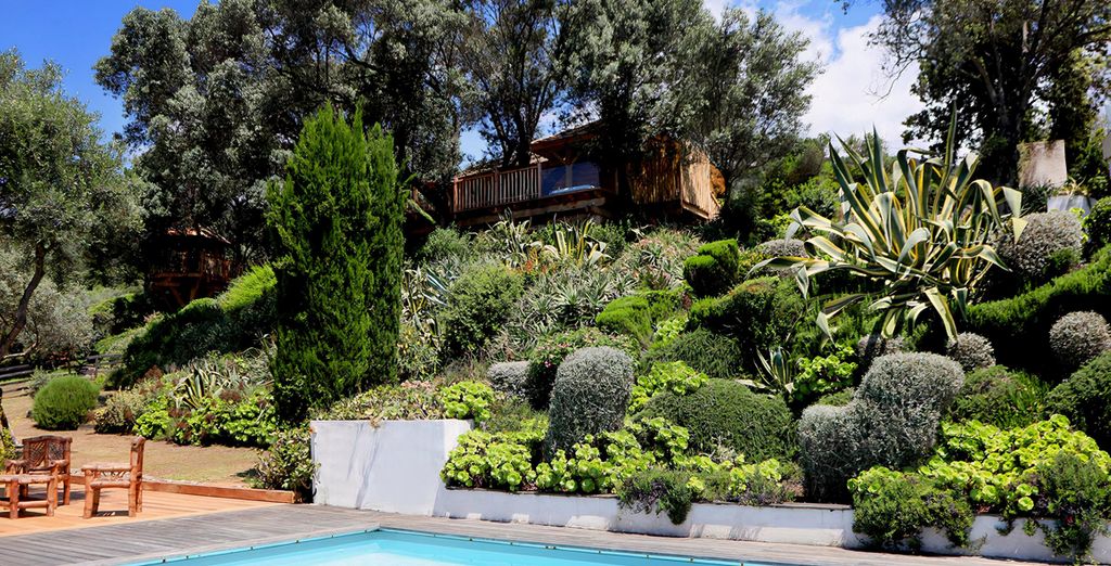Hostellerie du Moulin des Oliviers 5*