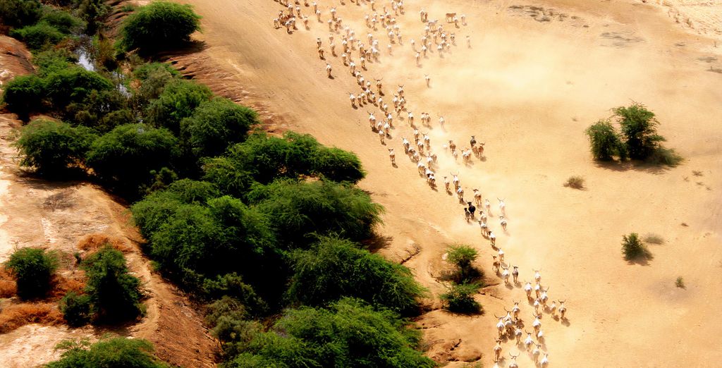 Tour privato di 7 notti del Senegal autentico con guida ed estensione balneare