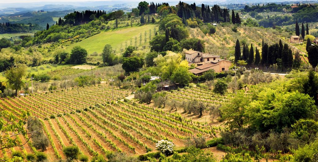 Hotel Villa Casagrande 4*