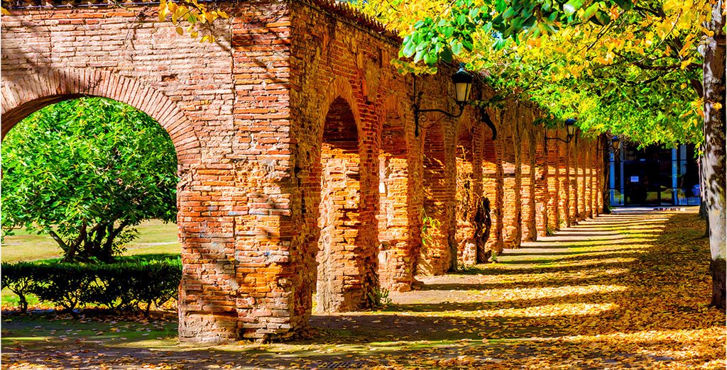 Tour enologico dell'Occitania in hotel 4* e 5*