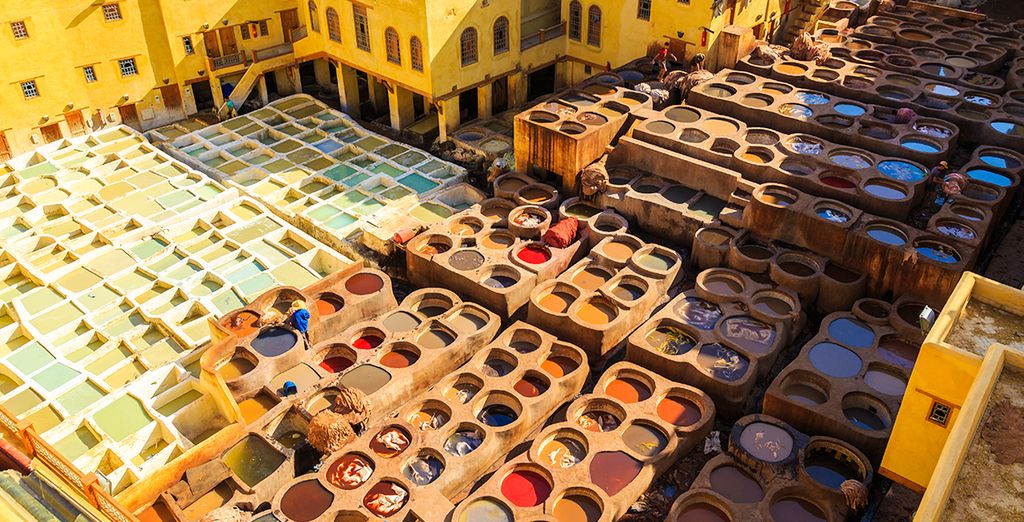 Tour di gruppo: Strade vibranti, sabbie antiche e sogni del deserto