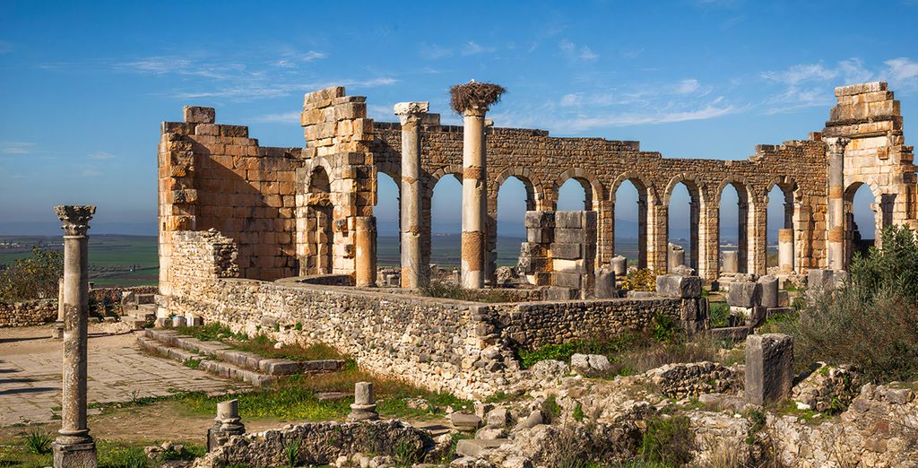 Tour di gruppo: Alla scoperta delle città imperiali